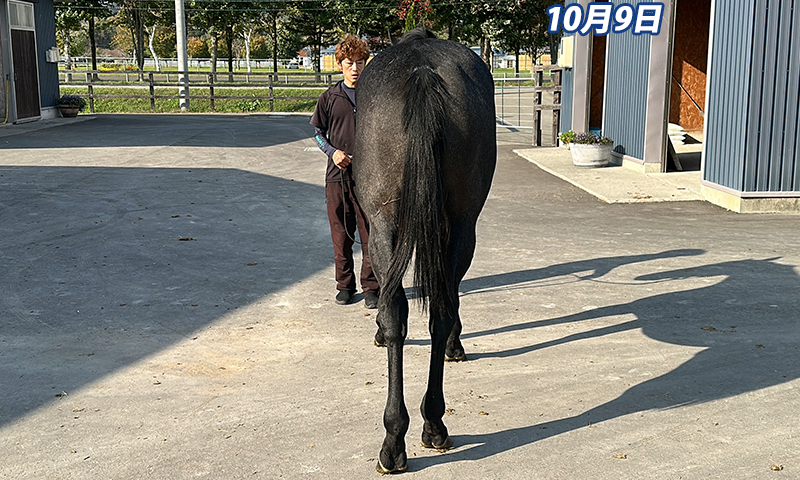 image01