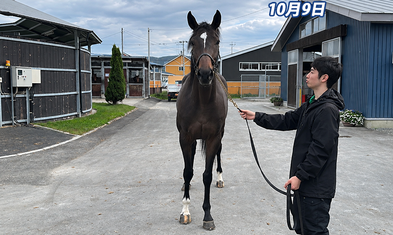 image01